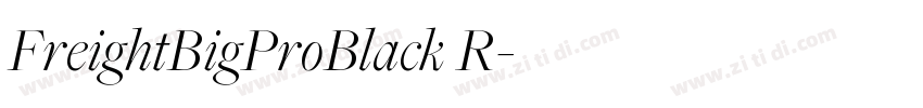 FreightBigProBlack R字体转换